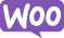 api icon